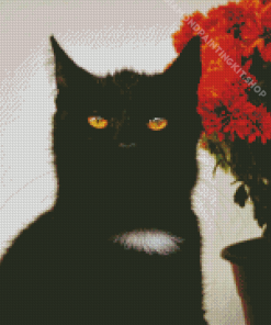 Aesthetic Black Cats And Flower Diamond Painting