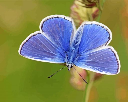 Aesthetic Blue And White Butterfly Diamond Painting