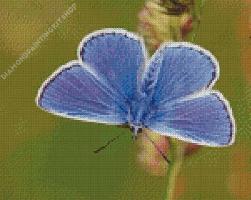 Aesthetic Blue And White Butterfly Diamond Painting