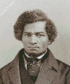 Aesthetic Frederick Douglass Diamond Painting