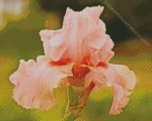 Aesthetic Pink Iris Flower Diamond Painting