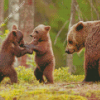 Aesthetic Three Bears Diamond Painting