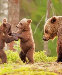 Aesthetic Three Bears Diamond Painting