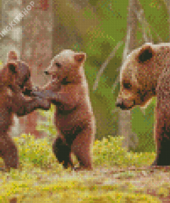 Aesthetic Three Bears Diamond Painting