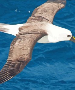 Albatross Flying Bird Diamond Painting