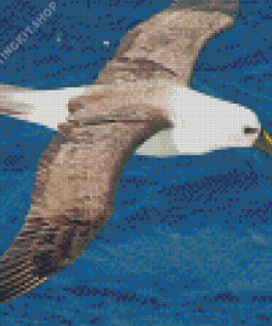 Albatross Flying Bird Diamond Painting