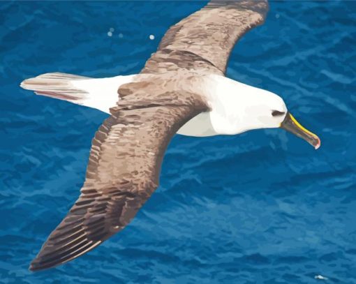 Albatross Flying Bird Diamond Painting