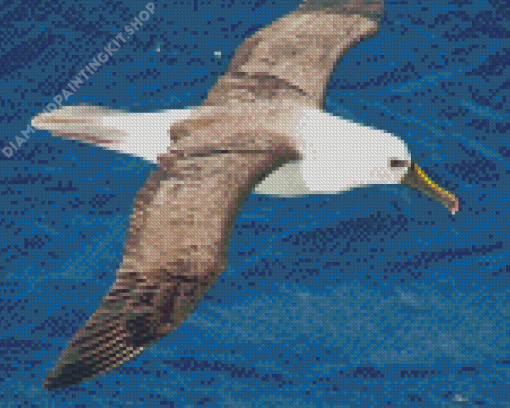 Albatross Flying Bird Diamond Painting