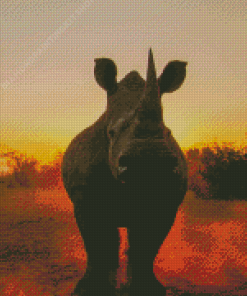 Animal Rhino Sunset Diamond Painting