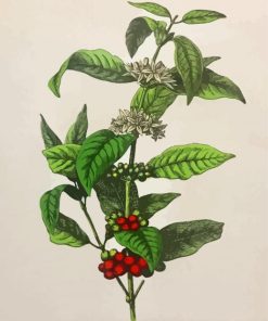 Arabica Coffee Plant Diamond Painting