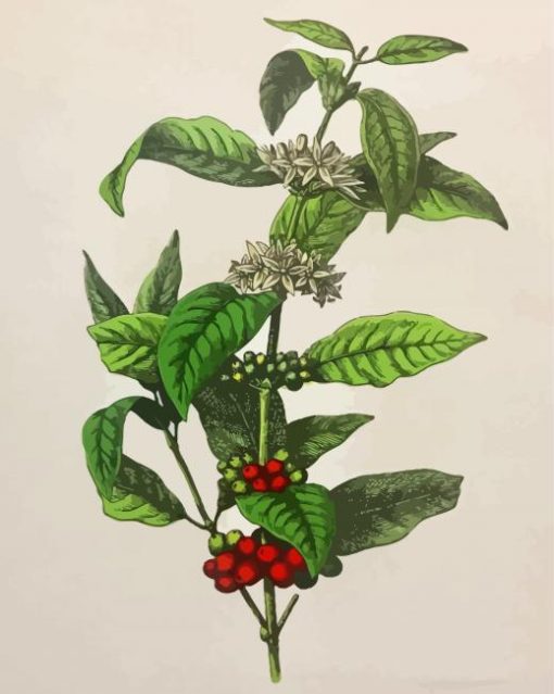 Arabica Coffee Plant Diamond Painting