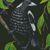 Australian Magpie And Leaves Diamond Painting