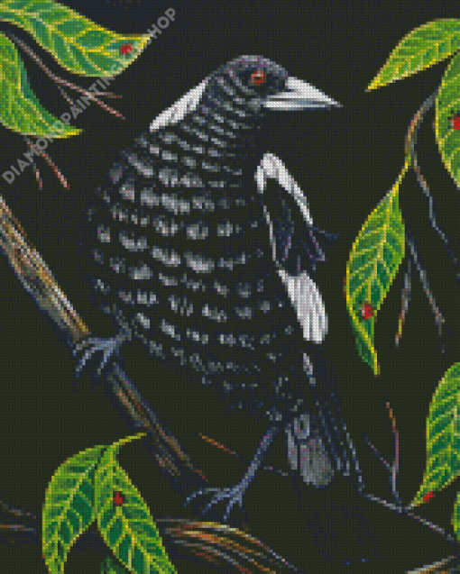 Australian Magpie And Leaves Diamond Painting