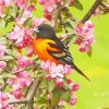 Baltimore Oriole On Floral Tree Diamond Painting