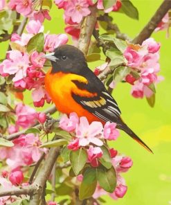 Baltimore Oriole On Floral Tree Diamond Painting