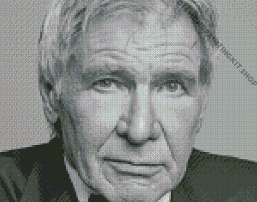 Black And White Harrison Ford Diamond Painting