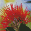 Close Up Pohutukawa Flower Diamond Painting