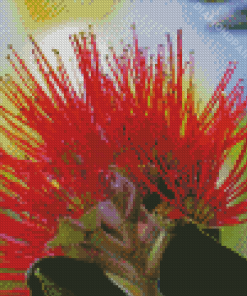 Close Up Pohutukawa Flower Diamond Painting