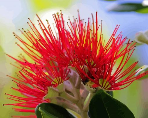 Close Up Pohutukawa Flower Diamond Painting