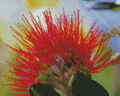 Close Up Pohutukawa Flower Diamond Painting