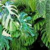 Green Jungle Plants Leaves Diamond Painting