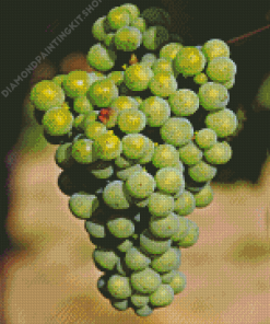 Green Grapevines Diamond Painting