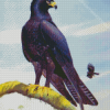 Indian Black Eagle Art Diamond Painting