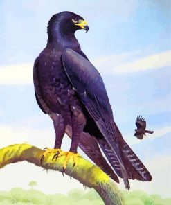 Indian Black Eagle Art Diamond Painting