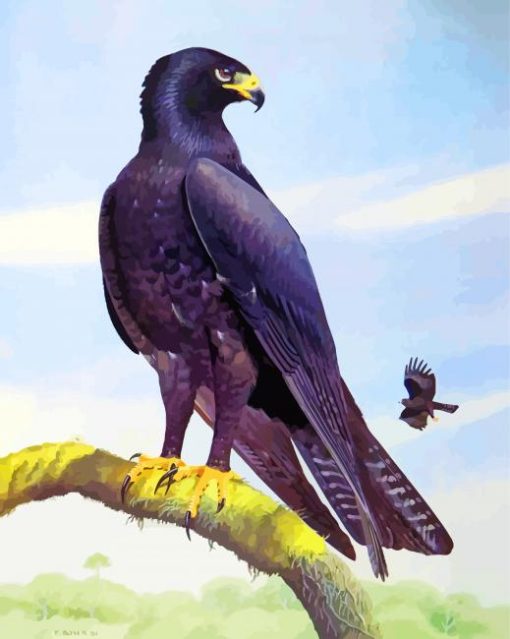 Indian Black Eagle Art Diamond Painting