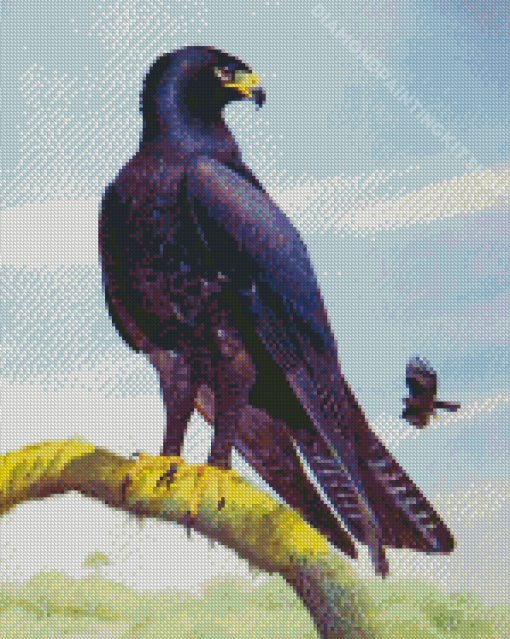 Indian Black Eagle Art Diamond Painting