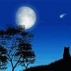 Lonely Cat Silhouette At Night Diamond Painting