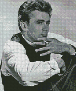 Monochrome Enigma Of James Dean Diamond Painting