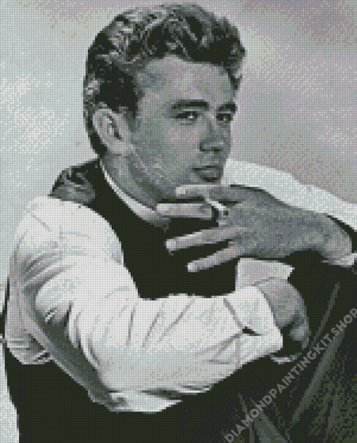 Monochrome Enigma Of James Dean Diamond Painting