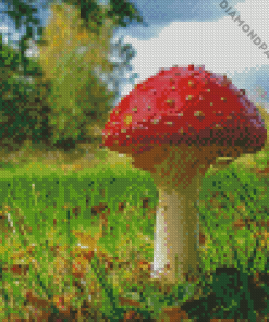 Mushroom Diamond Painting