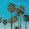 Palm Trees California Diamond Painting