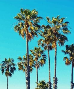 Palm Trees California Diamond Painting