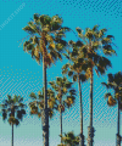 Palm Trees California Diamond Painting