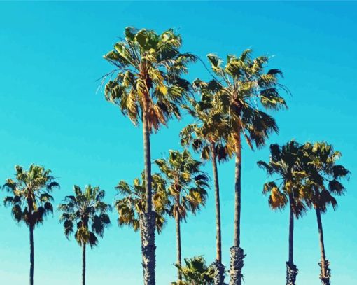 Palm Trees California Diamond Painting