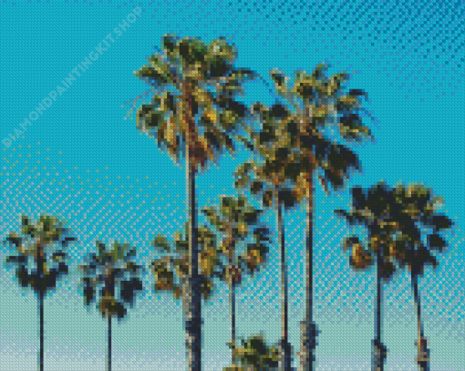 Palm Trees California Diamond Painting