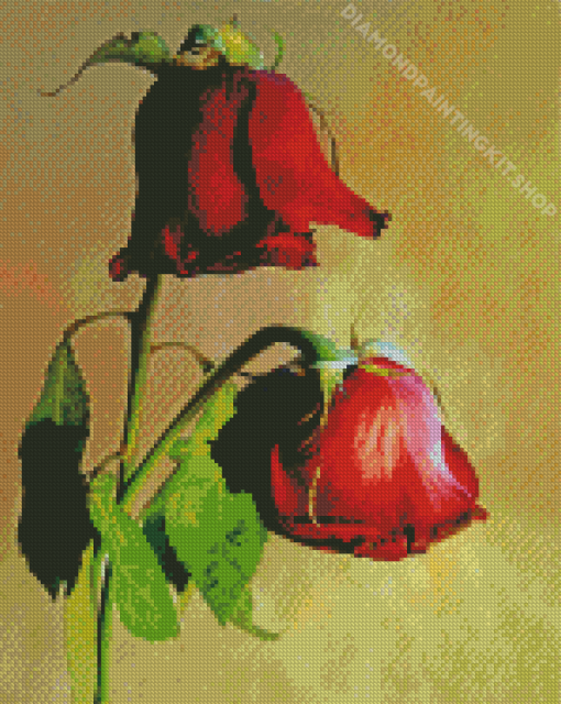 Red Dying Rose Diamond Painting