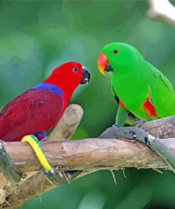 Red And Green Eclectus Parrot Diamond Painting