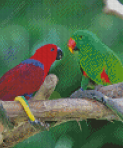 Red And Green Eclectus Parrot Diamond Painting