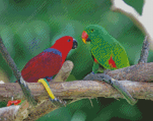 Red And Green Eclectus Parrot Diamond Painting