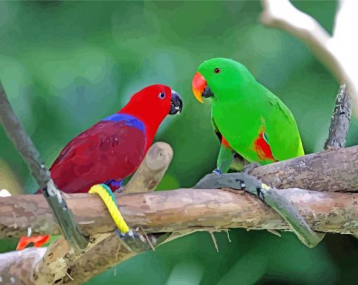 Red And Green Eclectus Parrot Diamond Painting