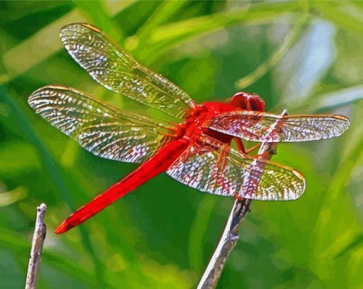 Red Insect Red Dragonfly Diamond Painting