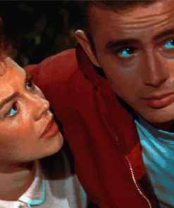 Romantic Rebel Without A Cause Diamond Painting