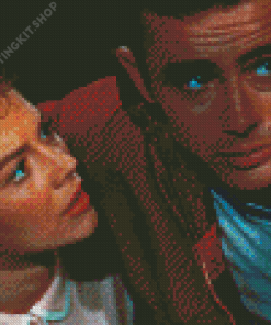 Romantic Rebel Without A Cause Diamond Painting