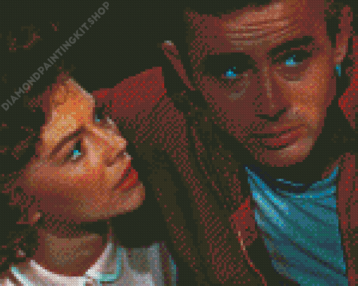 Romantic Rebel Without A Cause Diamond Painting