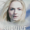 Survive Serie Diamond Painting