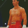 The Boxer Wladimir Klitschko Diamond Painting